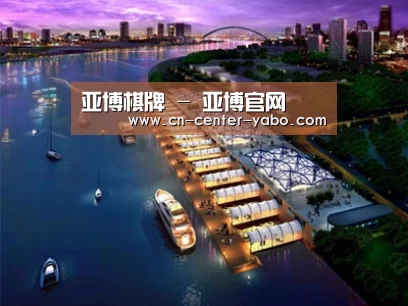 案例展示八