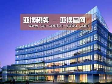 案例展示五