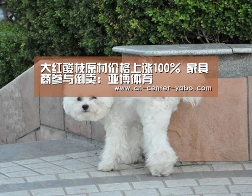大红酸枝原材价格上涨100% 家具商参与倒卖:亚博体育(图1) 亚博棋牌